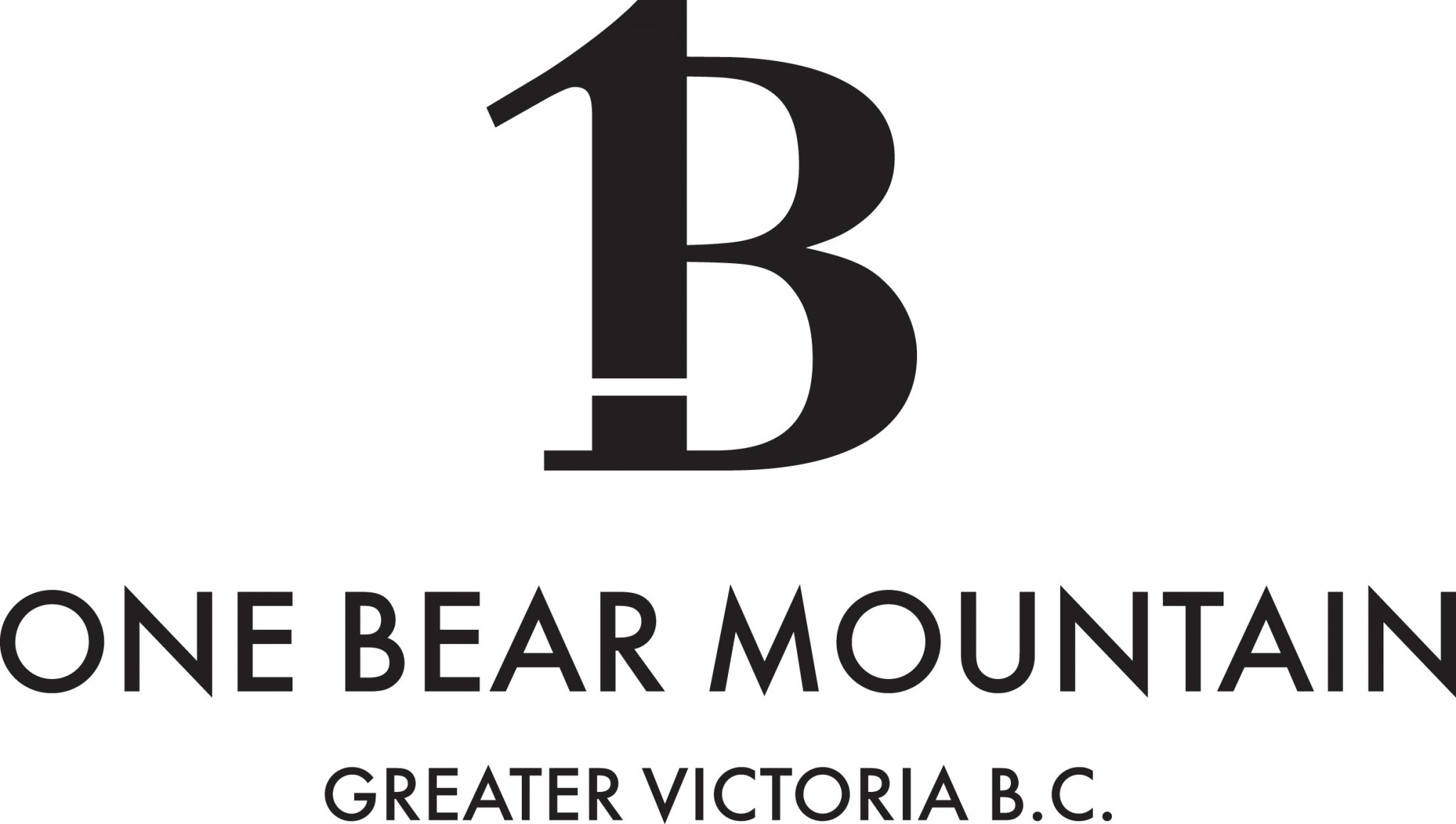 ONE BEAR MOUNTAIN